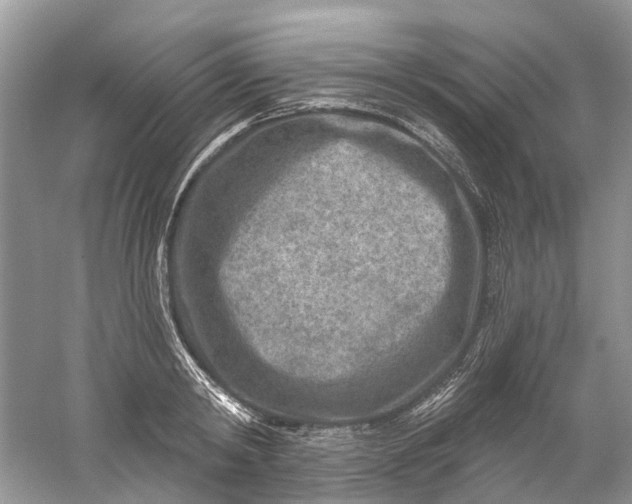 X0000061150798200512022313