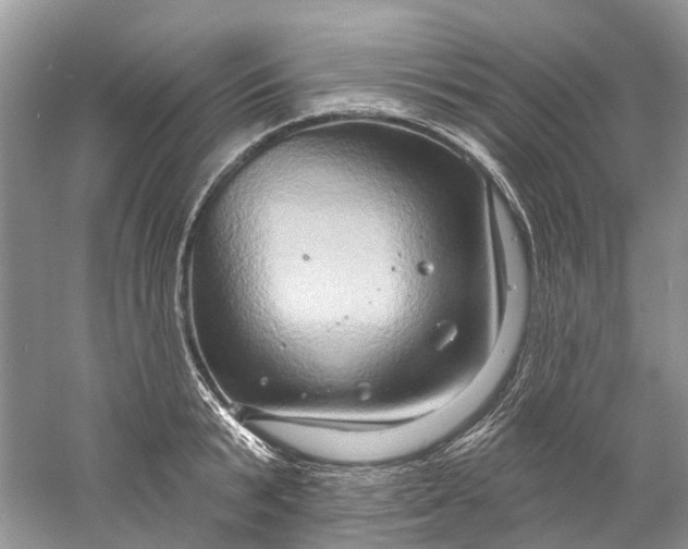 X0000061150799200512022313