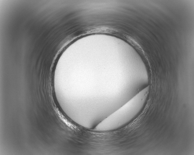 X0000061150800200512022313