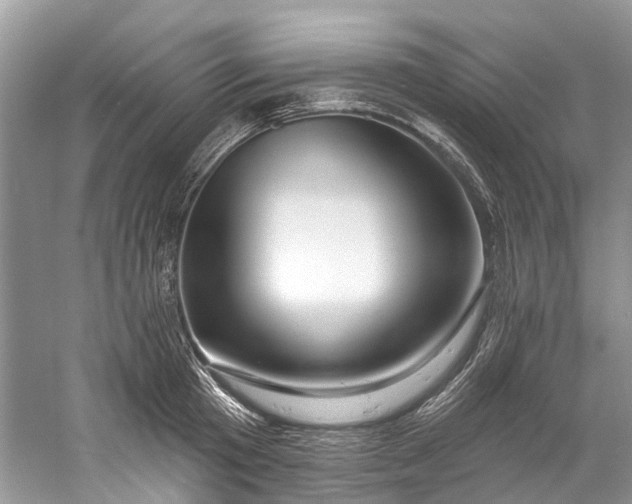 X0000061150801200512022313