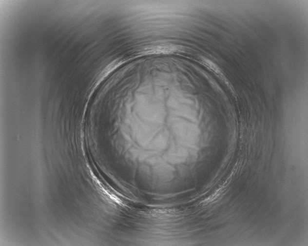 X0000061150802200512022313