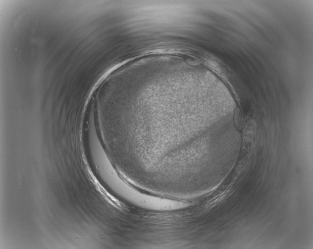 X0000061150803200512022313