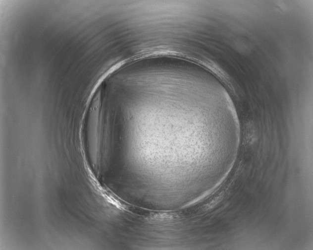 X0000061150806200512022313