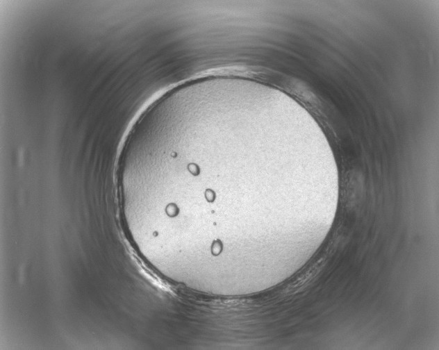 X0000061150808200512022313