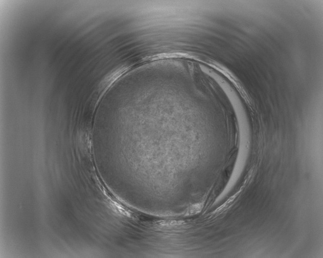 X0000061150809200512022313