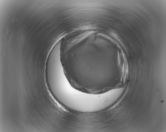 X0000061150810200512022313