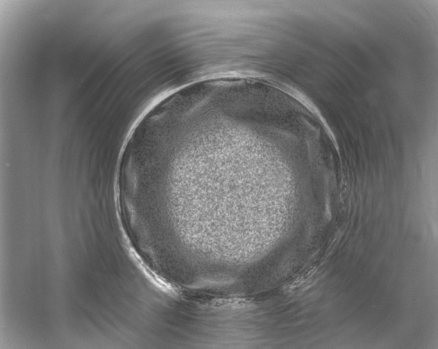 X0000061150811200512022313