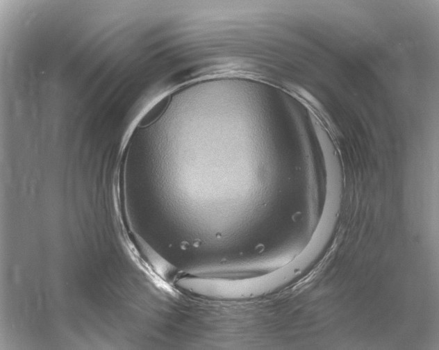 X0000061150812200512022313