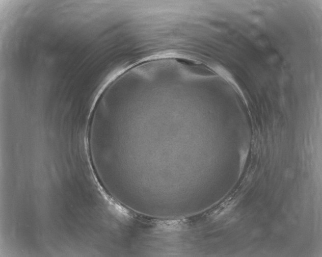 X0000061150813200512022313