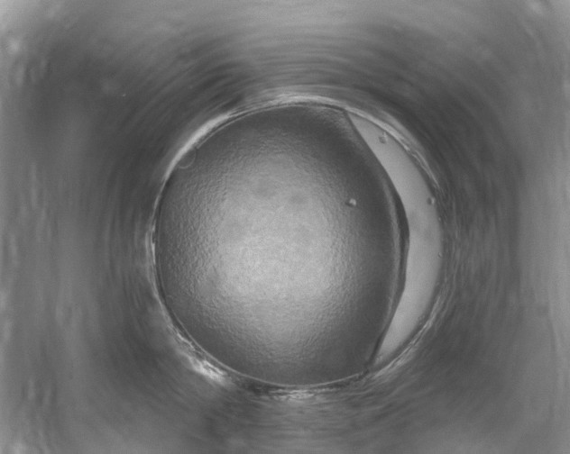 X0000061150814200512022312