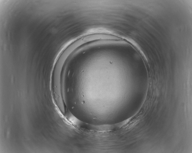 X0000061150815200512022312