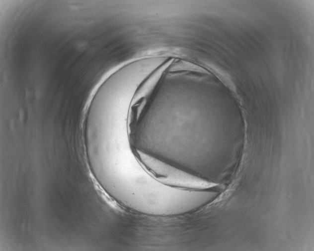 X0000061150816200512022312