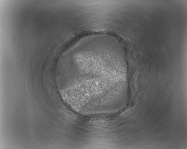 X0000061150817200512022312