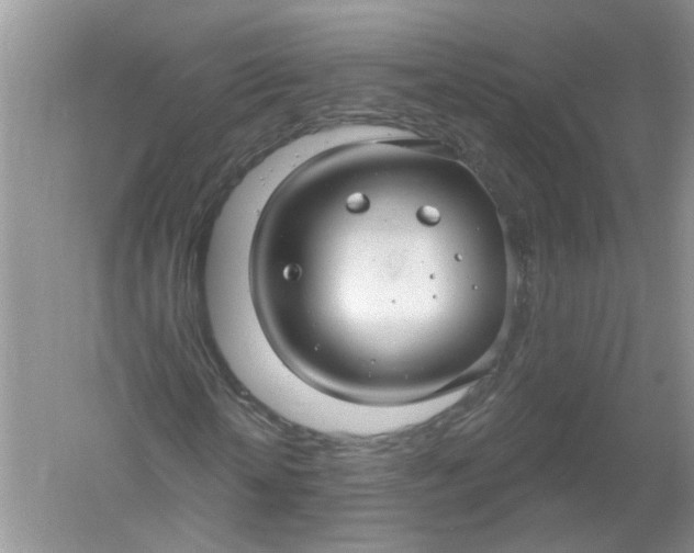 X0000061150818200512022312