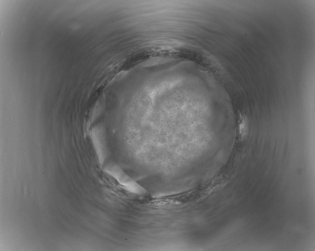 X0000061150819200512022312