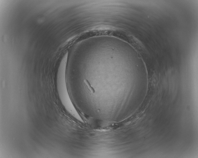 X0000061150821200512022312