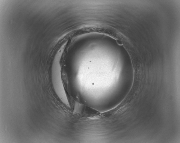 X0000061150822200512022312