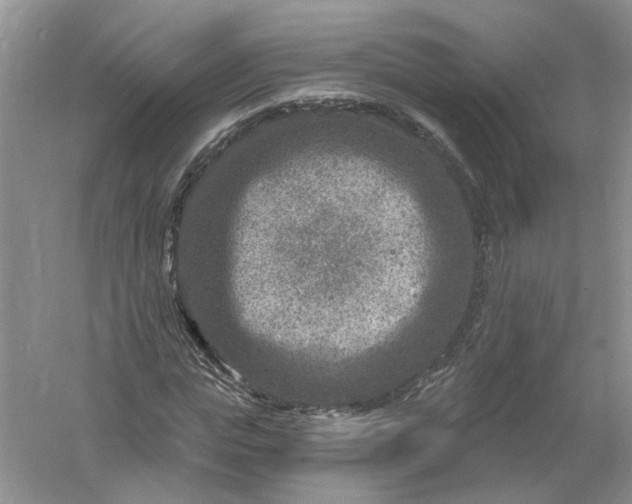 X0000061150823200512022312