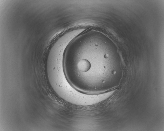 X0000061150824200512022312