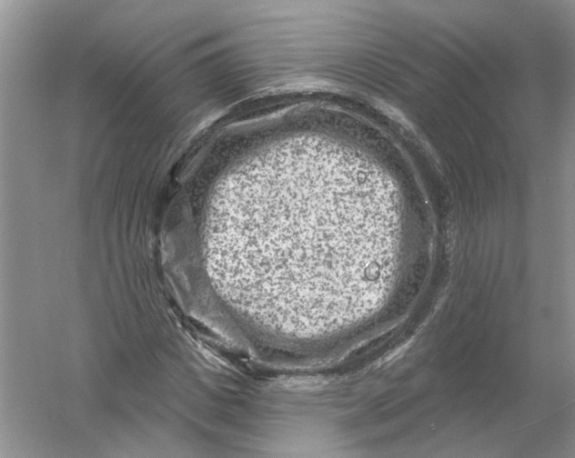 X0000061150825200512022312