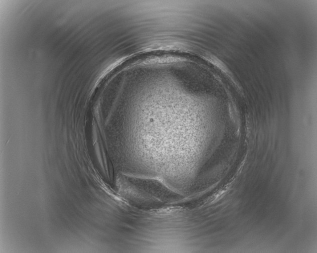 X0000061150826200512022312