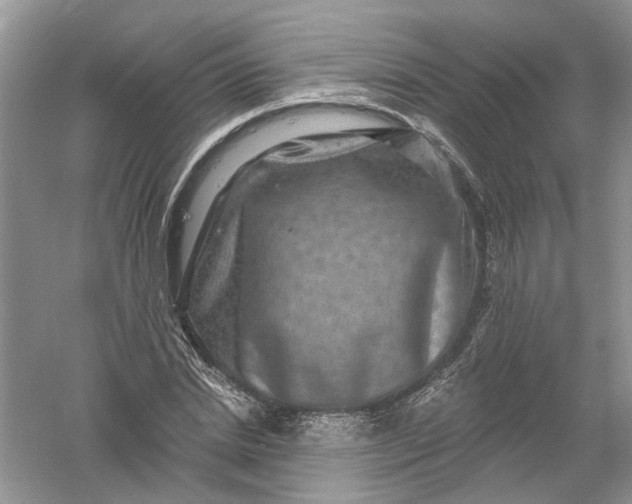 X0000061150830200512022312