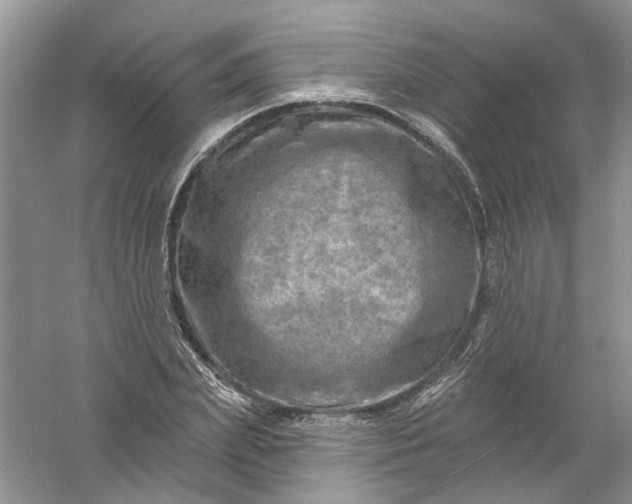 X0000061150831200512022312