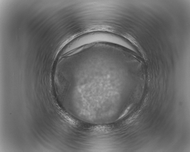 X0000061150834200512022312