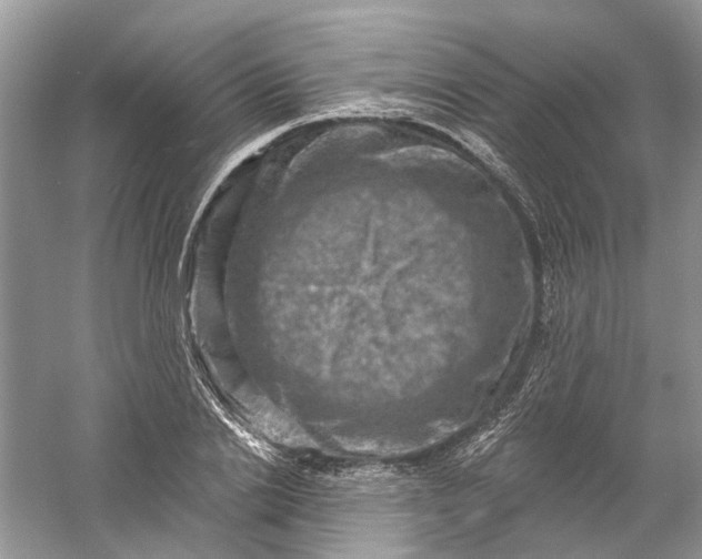 X0000061150838200512022312