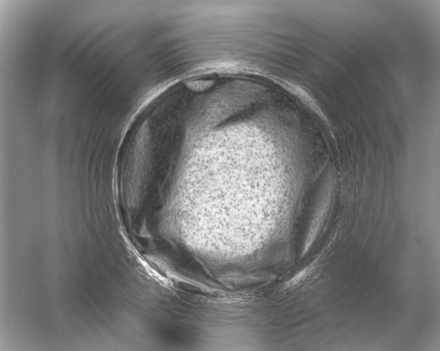 X0000061150839200512022312