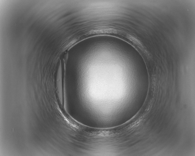 X0000061150841200512022312