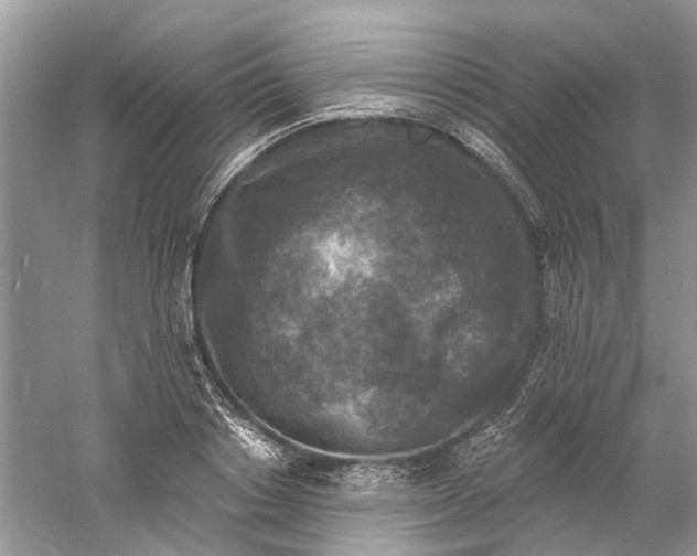 X0000061150842200512022312