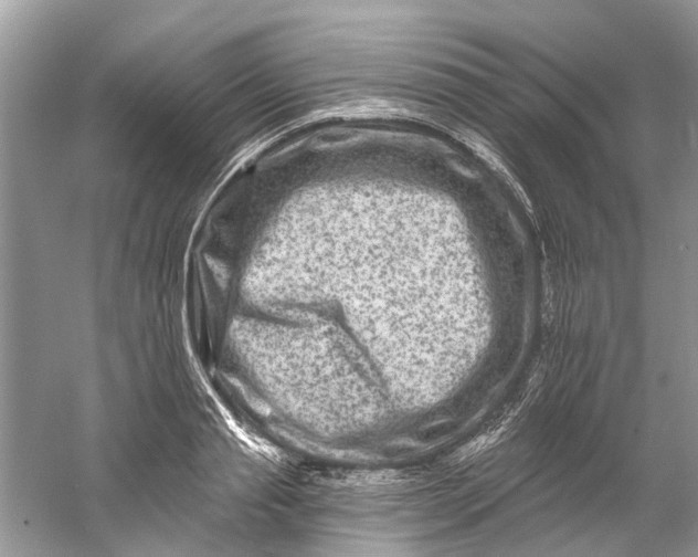 X0000061150845200512022312