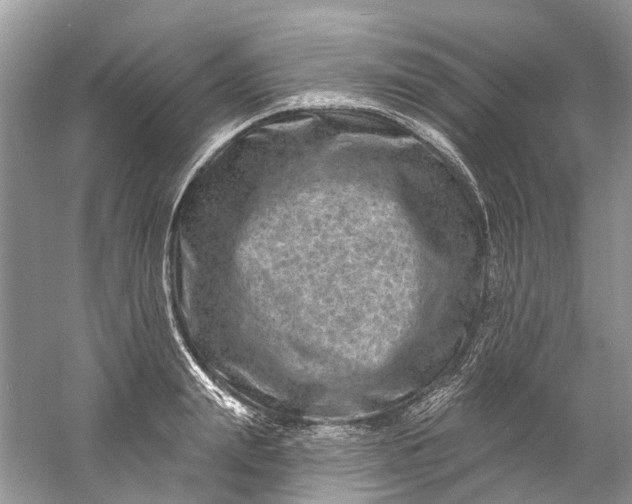 X0000061150847200512022312