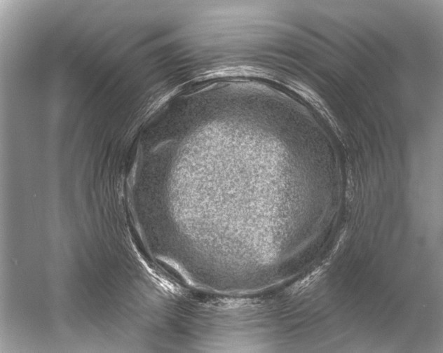 X0000061150849200512022312