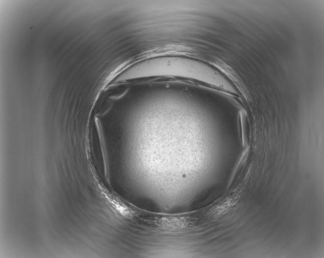 X0000061150850200512022312