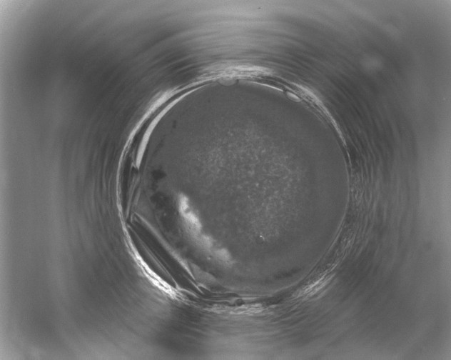 X0000061150851200512022312