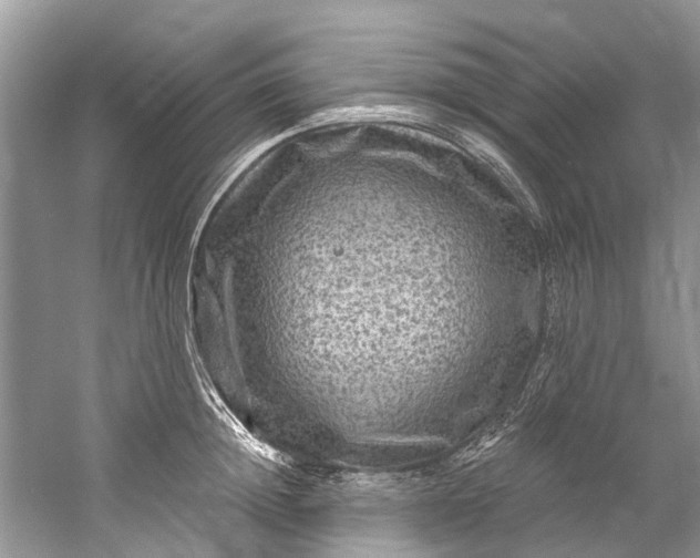 X0000061150852200512022312