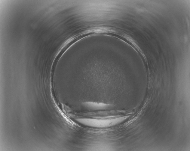 X0000061150853200512022312