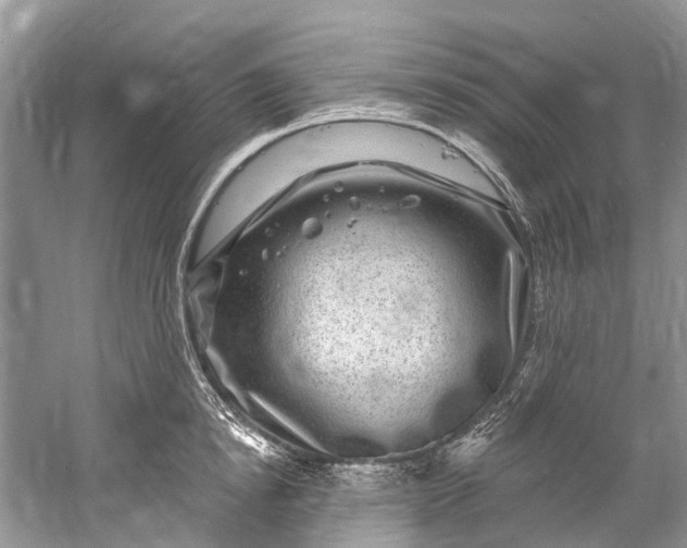 X0000061150854200512022312