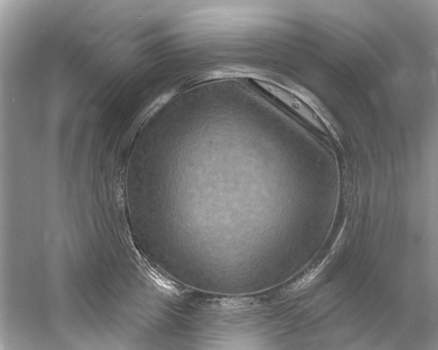 X0000061150857200512022312