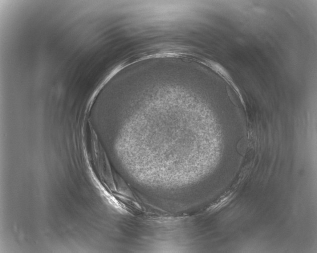 X0000061150859200512022312