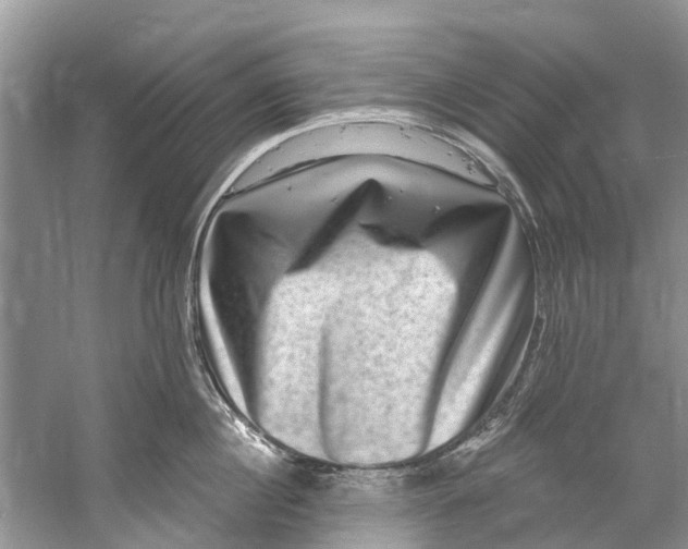 X0000061150860200512022312