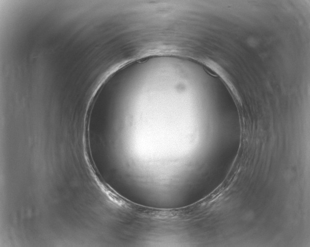 X0000061150861200512022312