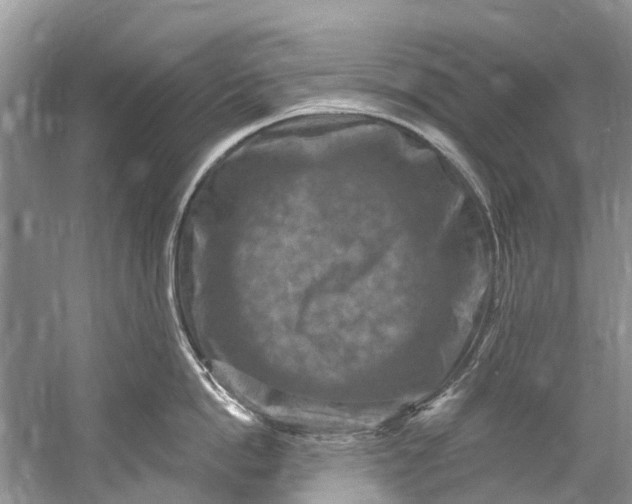 X0000061150862200512022312