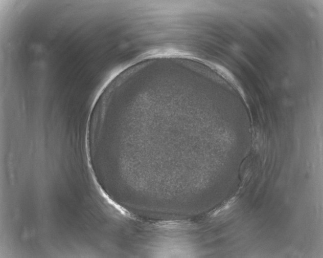 X0000061150863200512022312