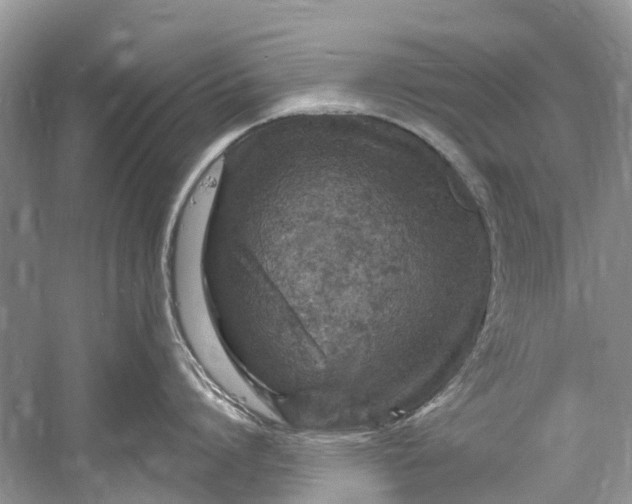 X0000061150864200512022312