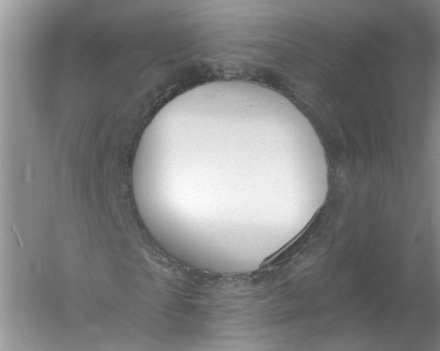 X0000061150865200512022312