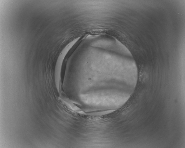 X0000061150866200512022312