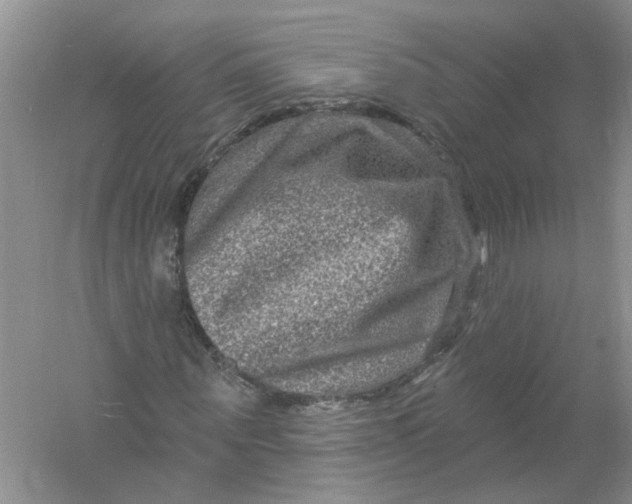 X0000061150867200512022312